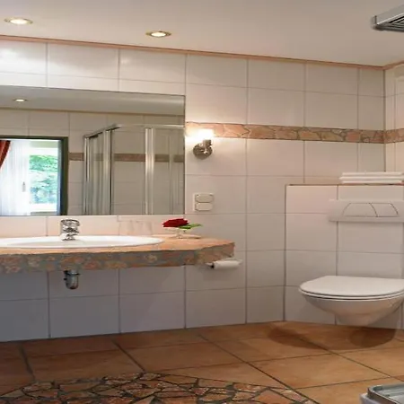 酒店 Willino Privathotel 维林根