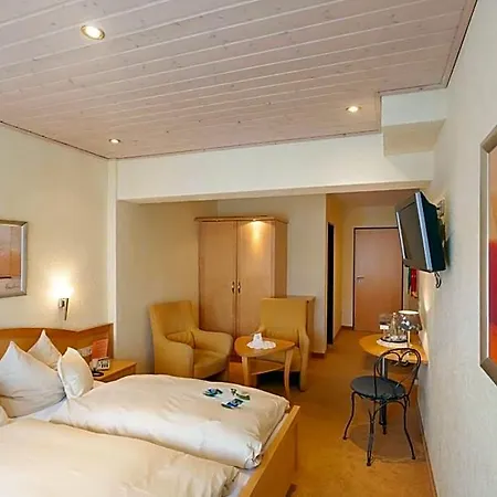 Willino Privathotel 3* 维林根