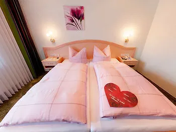 Hotel Willino Privathotel 3*